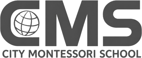 City Montessori School